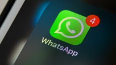 WhatsApp app logo shown on smartphone screen