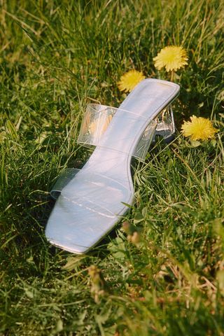 Transparent Mules