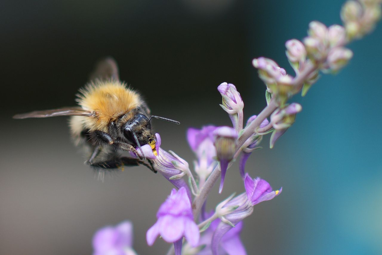 Sample image taken on the Sony RX1R III