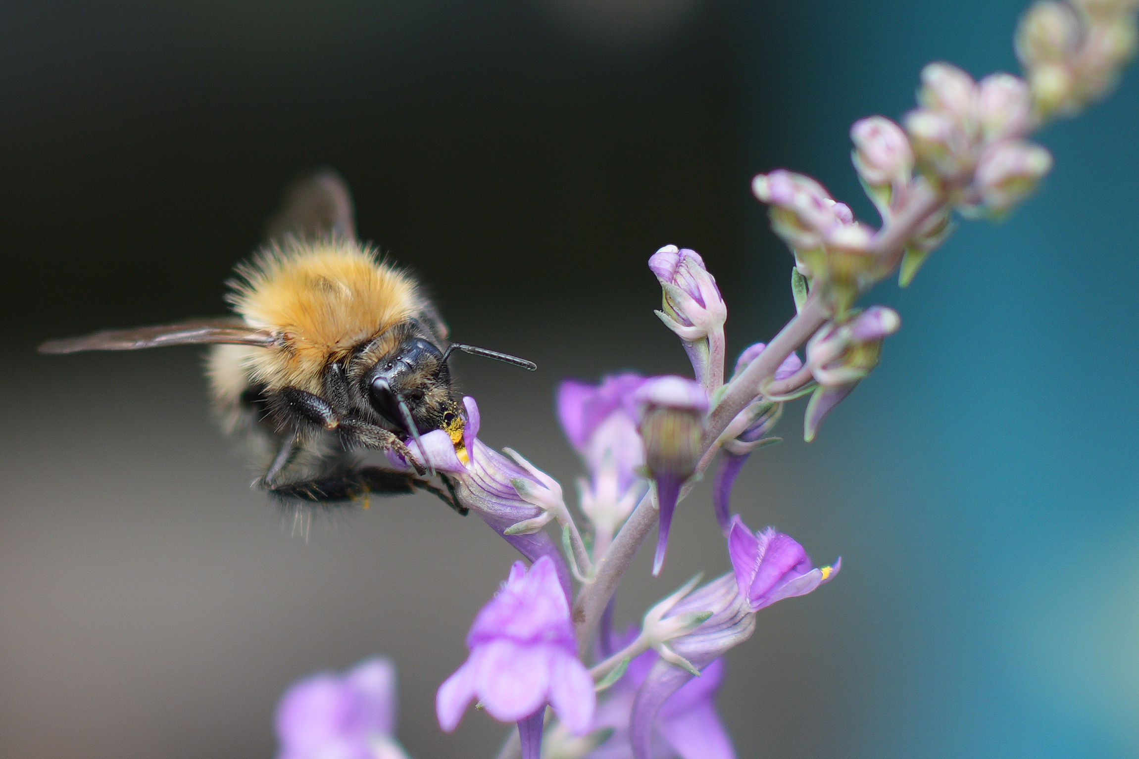 Sample image taken on the Sony RX1R III