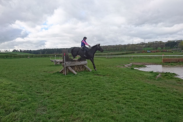 DSC_0713.jpg