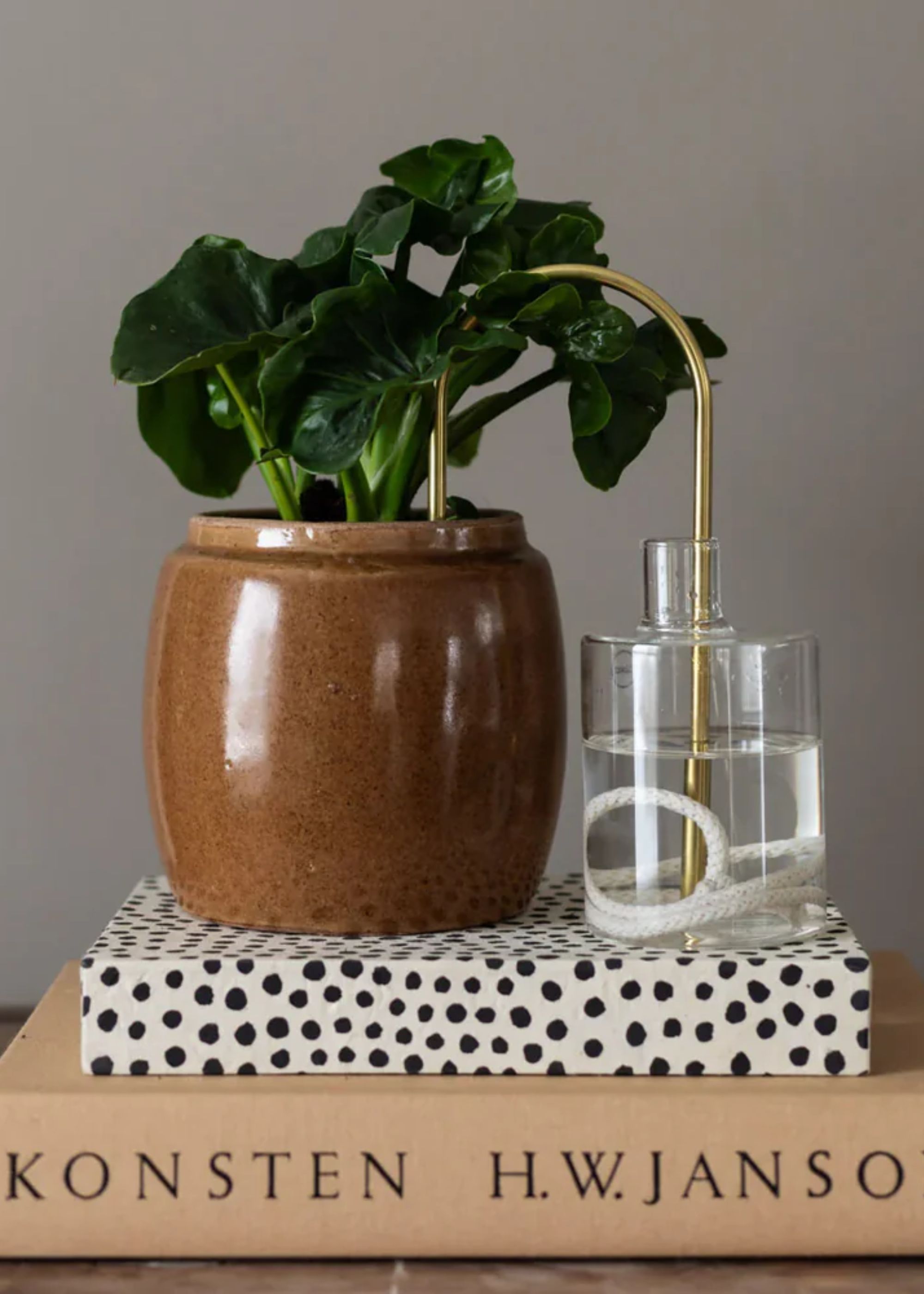grow urban., Plantstraws