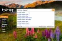 Bing's categorised search