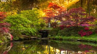 Serene garden scene with vibrant red and green foliage reflecting in a tranquil pond. Soft sunlight filters through trees, evoking a peaceful, warm atmosphere