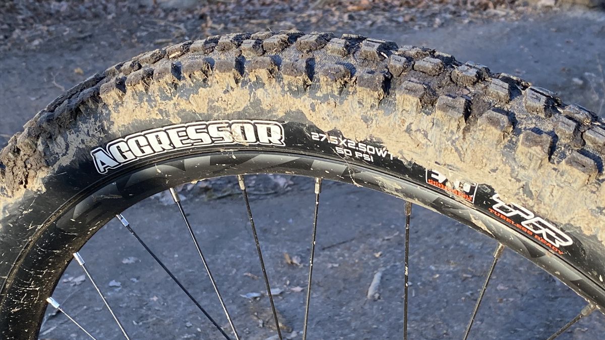 Santa Cruz Chameleon 8 review