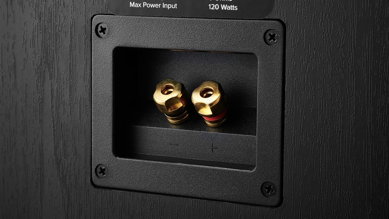 Binding posts on the back of the Elac Debut 2.0 B6.2