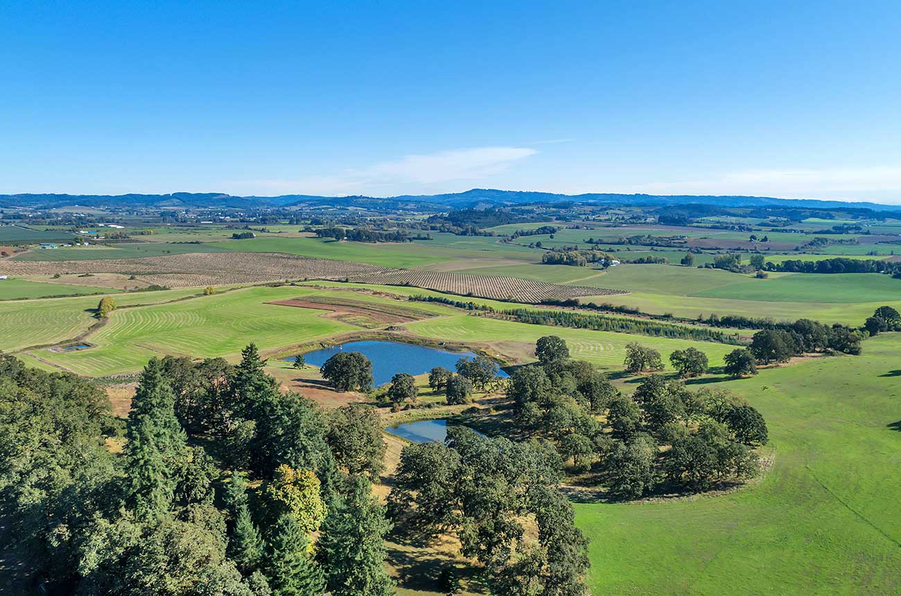 CJ McCollum has bought vineyard land in Oregon's Willamette Valley.