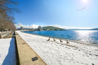 Canadian geese walk along the snow on the banks of City Beach in Coeur d'Alene, Idaho