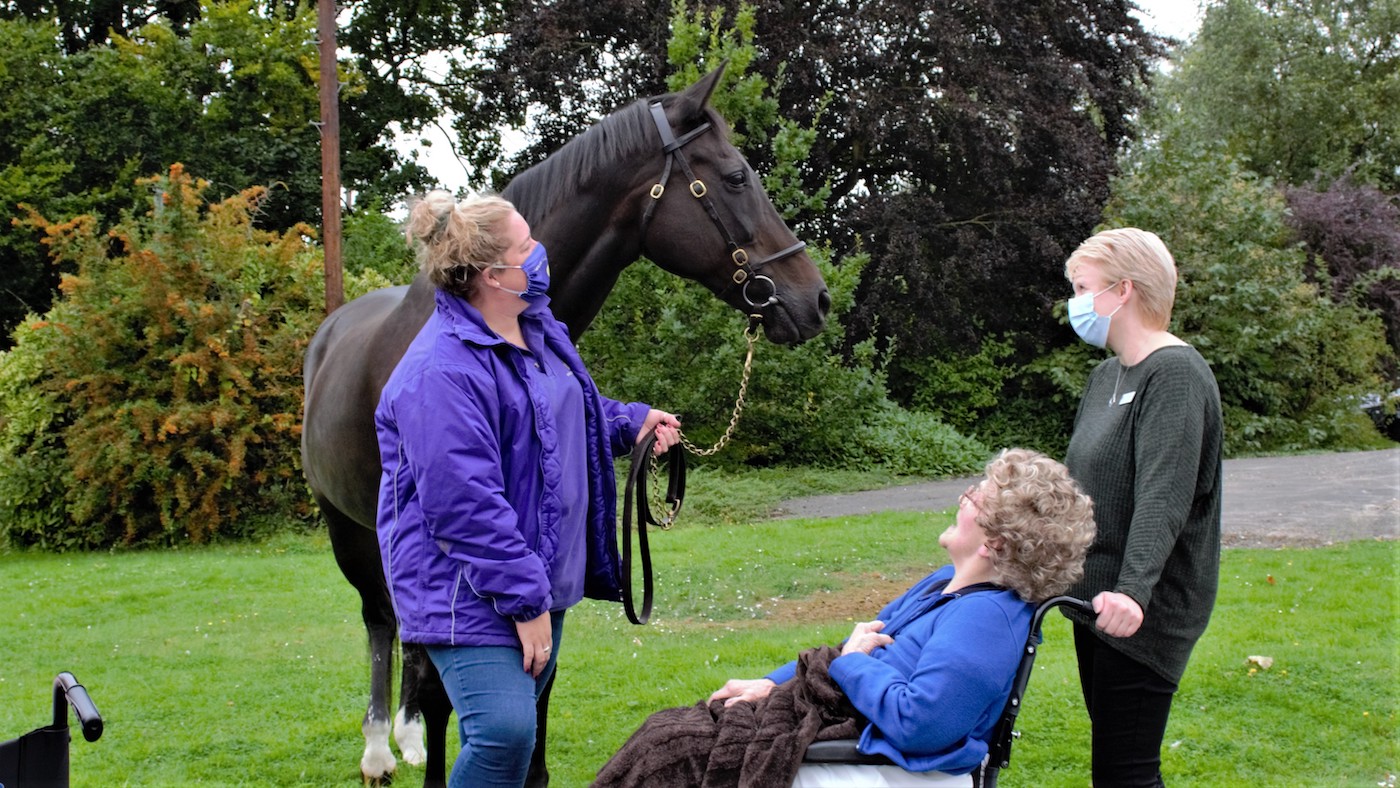 Retired racehorse Ouzbeck has been visiting a care home as part of a heartwarming new pilot scheme.