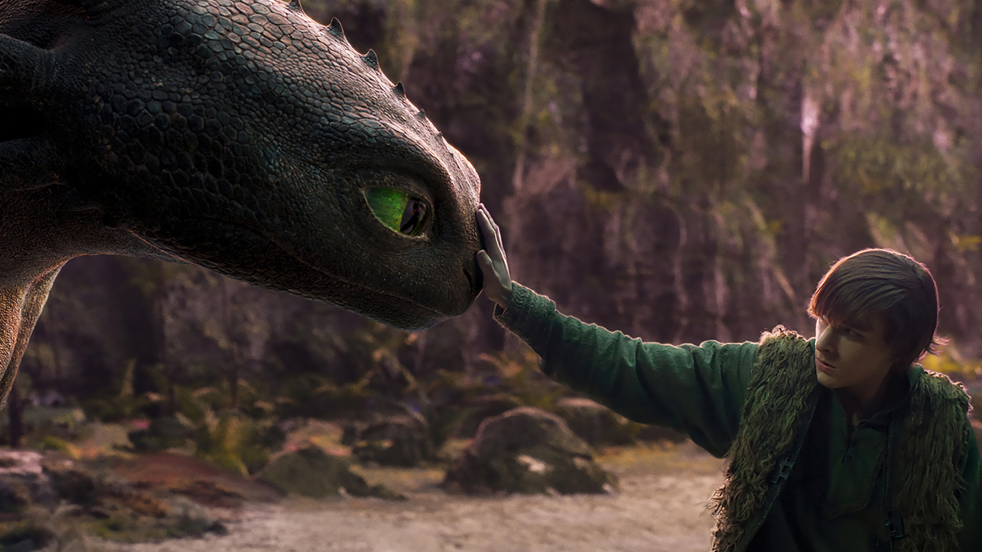 Hiccup looking at Toothless as he holds his right hand on its nose in Universal&#039;s How to Train Your Dragon remake