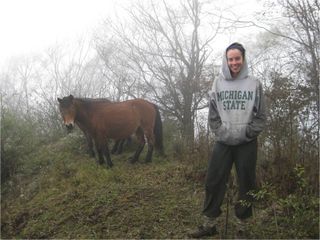 Michigan State University graduate student Vanessa Hull stands with some of the horses evicted from Wolong.