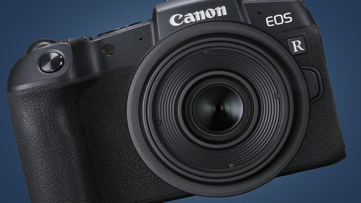 Canon EOS R6: كل ما نعرفه عن الكاميرا ذات الإطار الكامل للمبتدئين 168