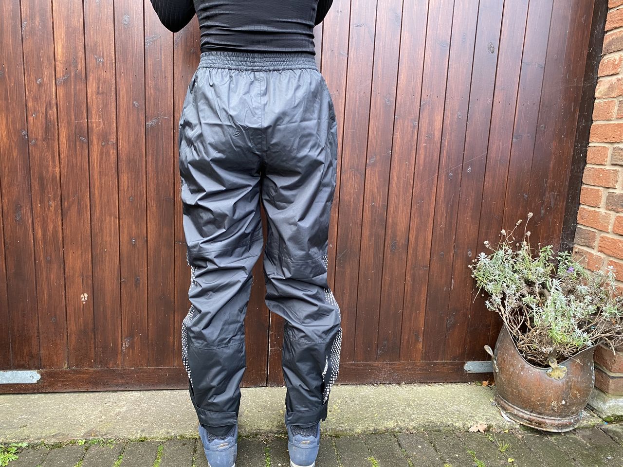 Rear