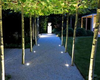 tree lined path leading to statue with lighting
