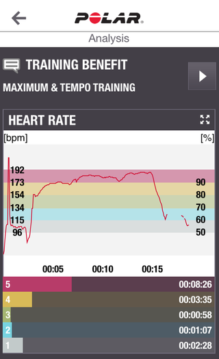 If you pair the V800 with a heart rate monitor, you can see your pulse graphed out over the course of your workout.