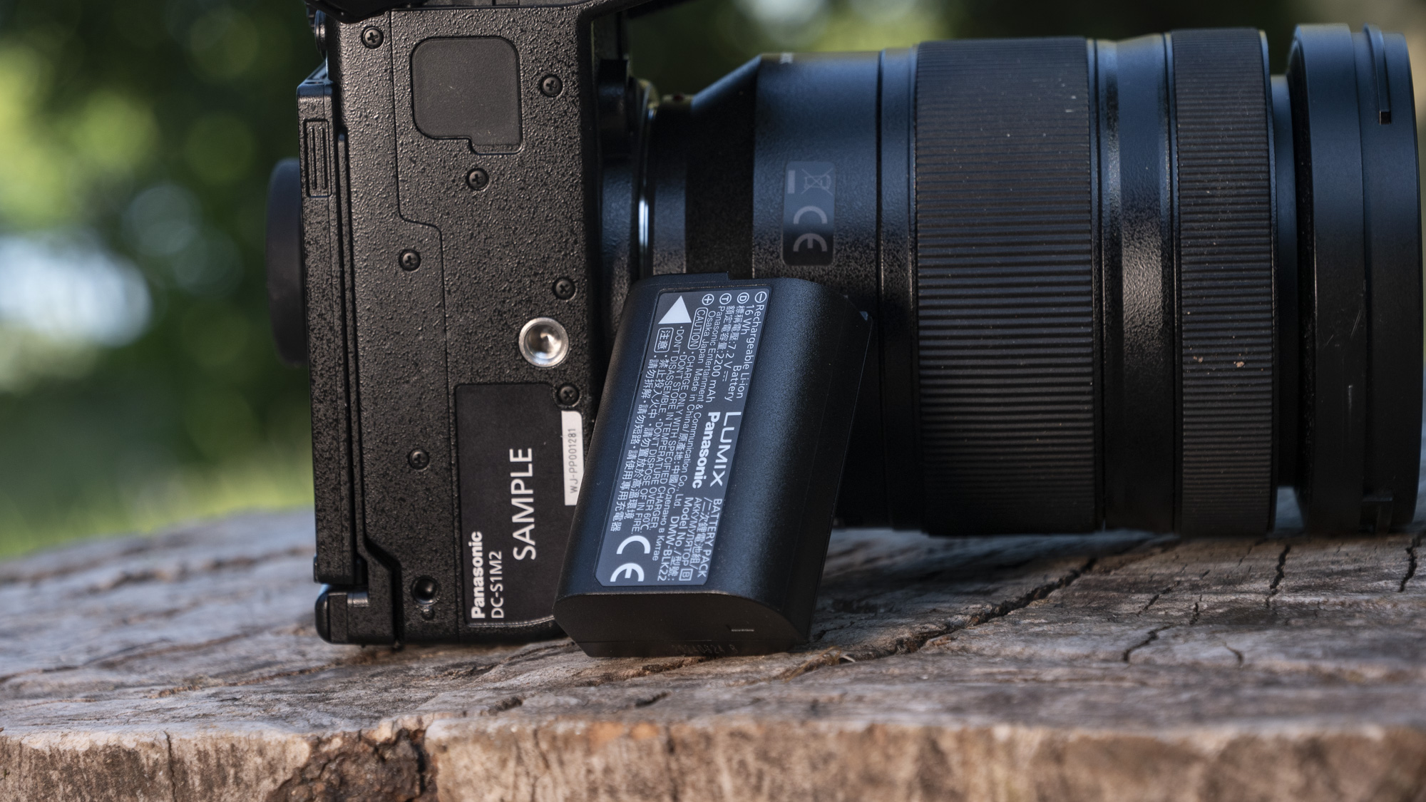Panasonic Lumix S1 II mirrorless camera's battery