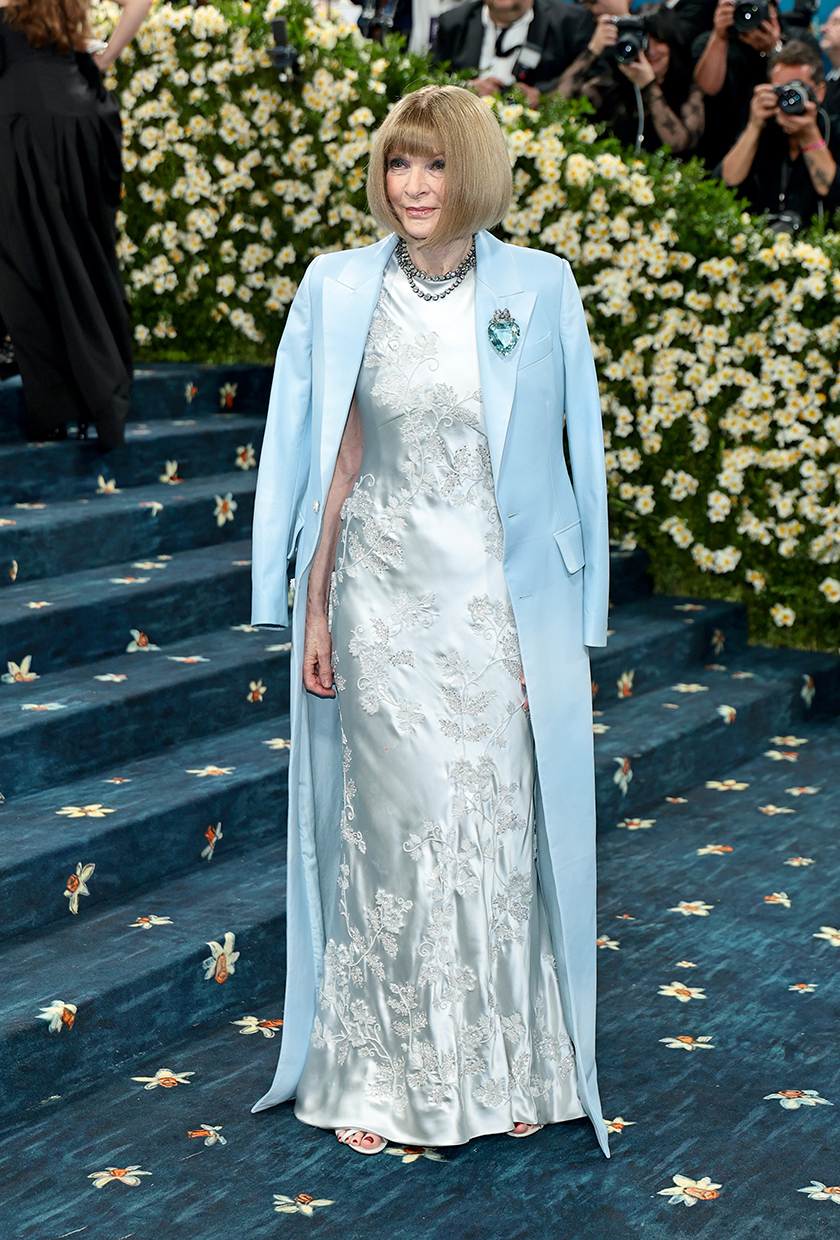 Met gala red carpet 2025