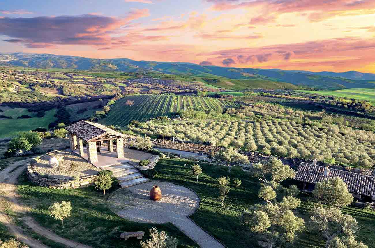 Tenuta Olianas in Sarcidano, southern Sardinia