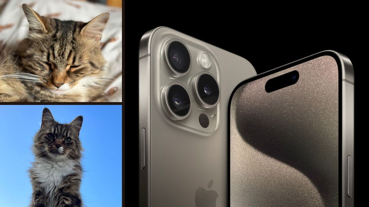 An iPhone 15 Pro Max with cats!