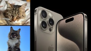 An iPhone 15 Pro Max with cats!