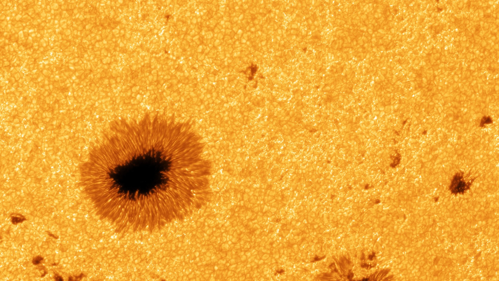 New 8K-resolution photos of the sun show off incredible details of raging sunspots