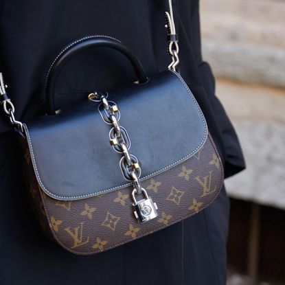 louis vuitton bag