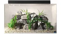 Best tropical fish tank SeaClear Acrylic Aquarium Combo Set