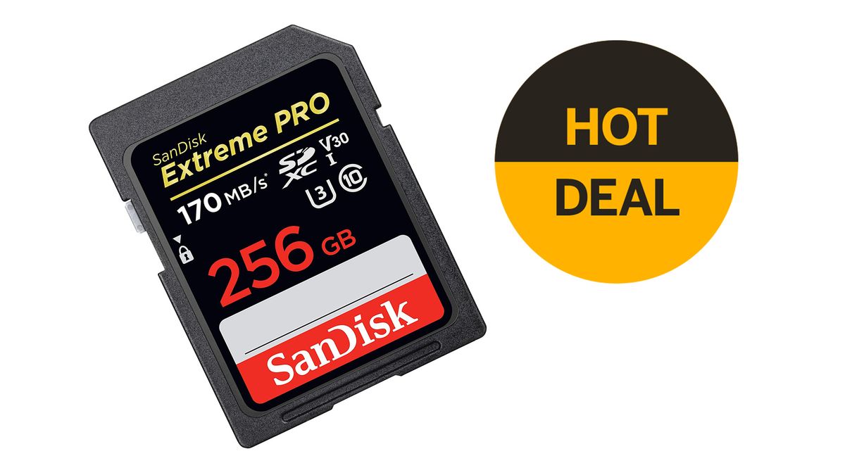 sandisk 256 gb memory card for camera