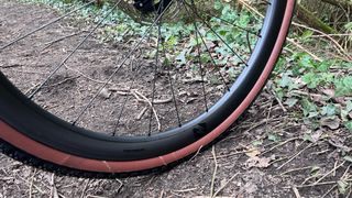 A gravel wheel on the trail