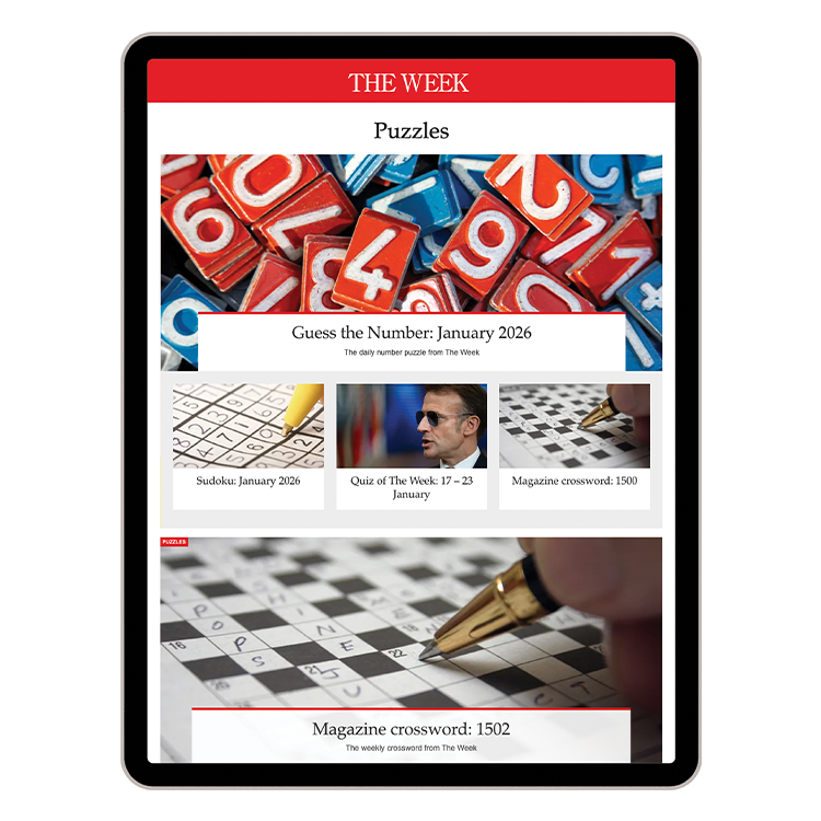 Ipad with Puzzles image