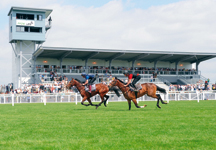 Ffos_Las_Racecourse-HR.jpg