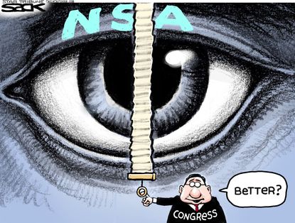 Political cartoon NSA Surveillance