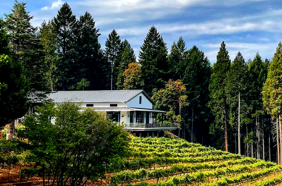 California's El Dorado AVA - Edio Vineyards
