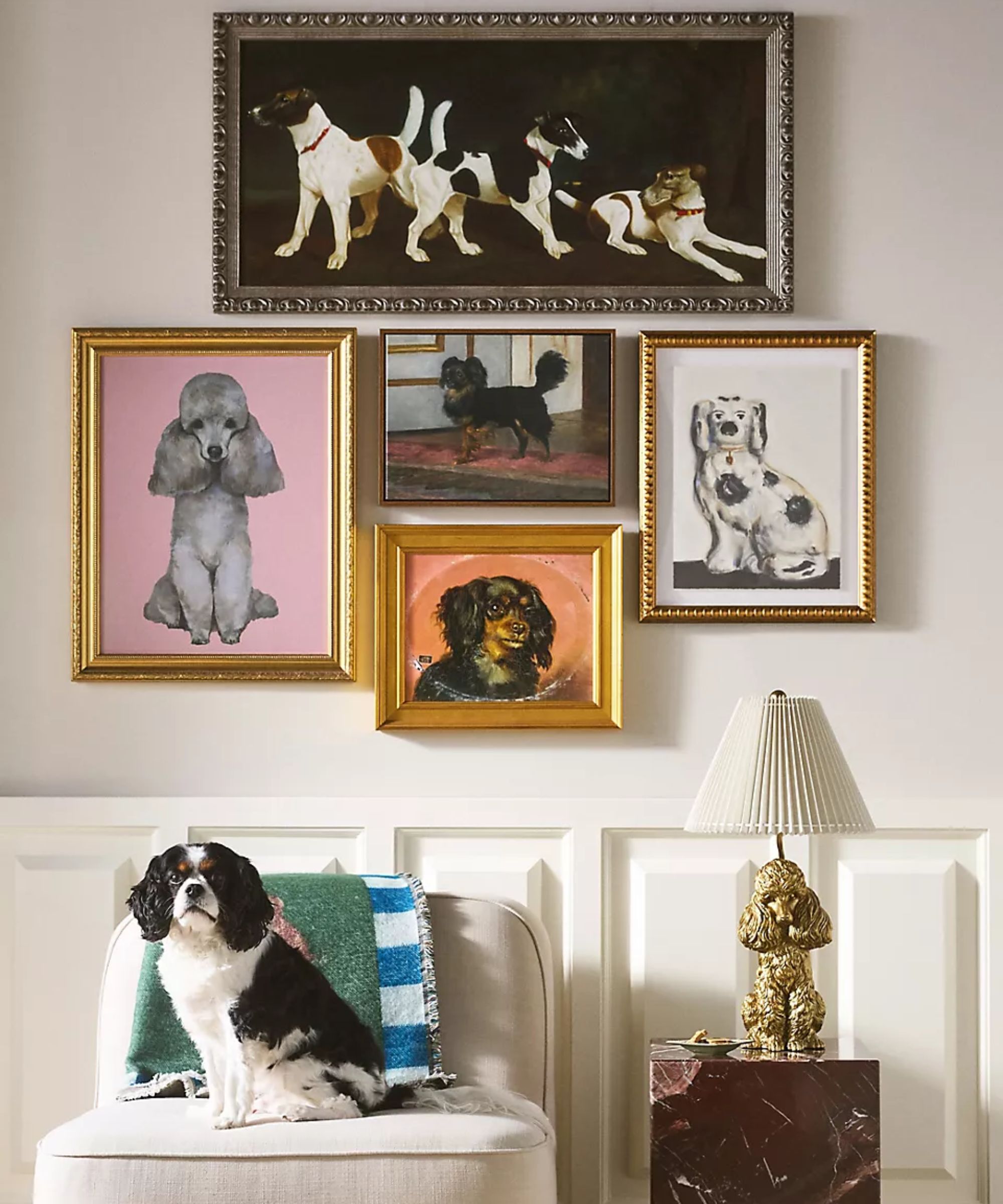 gallery wall of vintage style dog art on a wall with panelling and a small chair with a tri-colored cavalier king charles spaniel sat on it