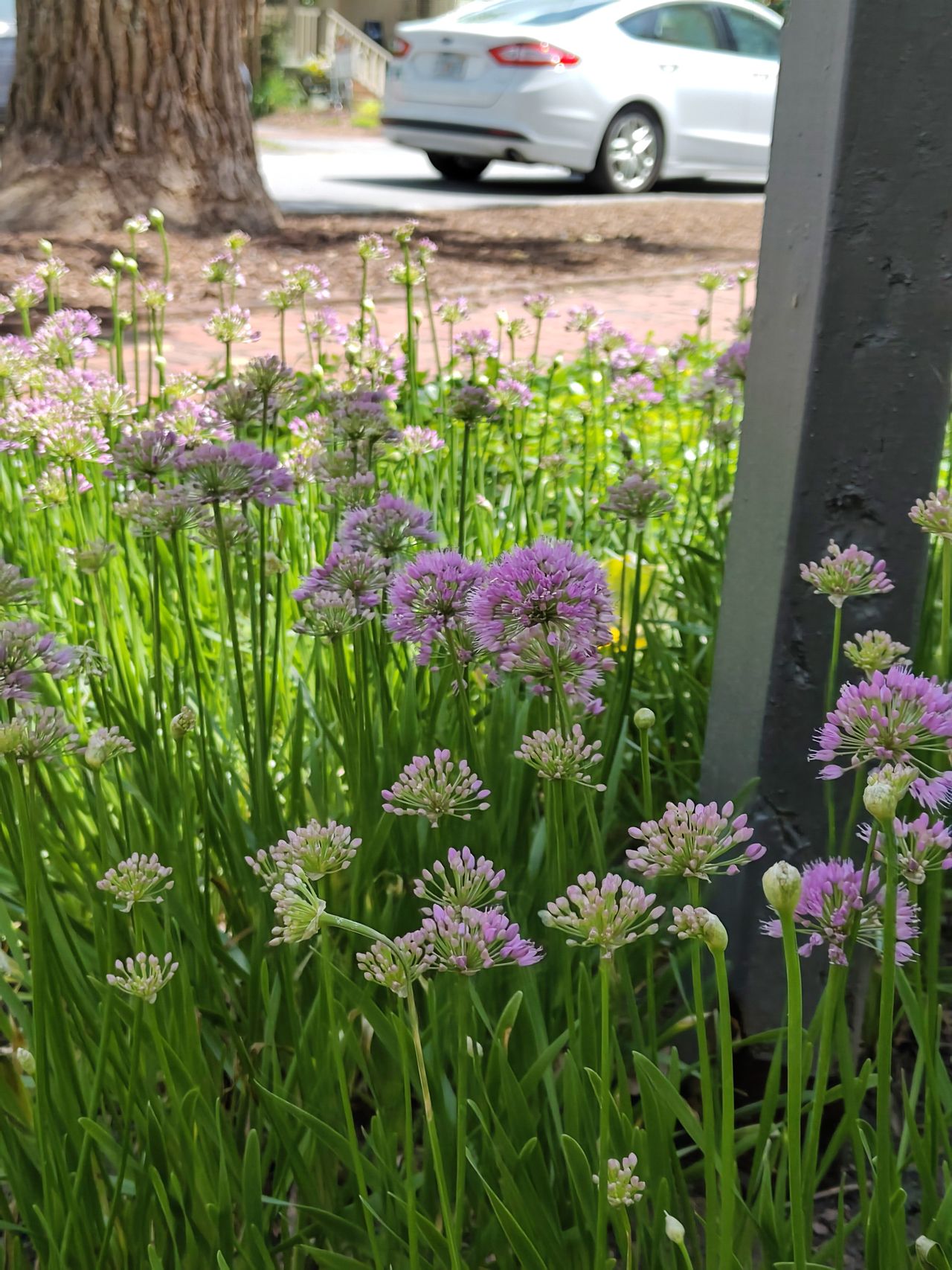 A camera sample taken from the Fairphone 6's main camera