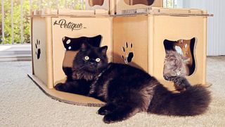 best eco-friendly pet products cat house