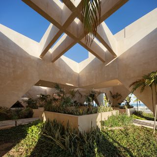 Plants in courtyard at mexico geology museum