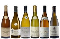 White Burgundy 2009