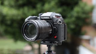 Panasonic Lumix GH7 on a tripod outside with some blurred green trees in the background