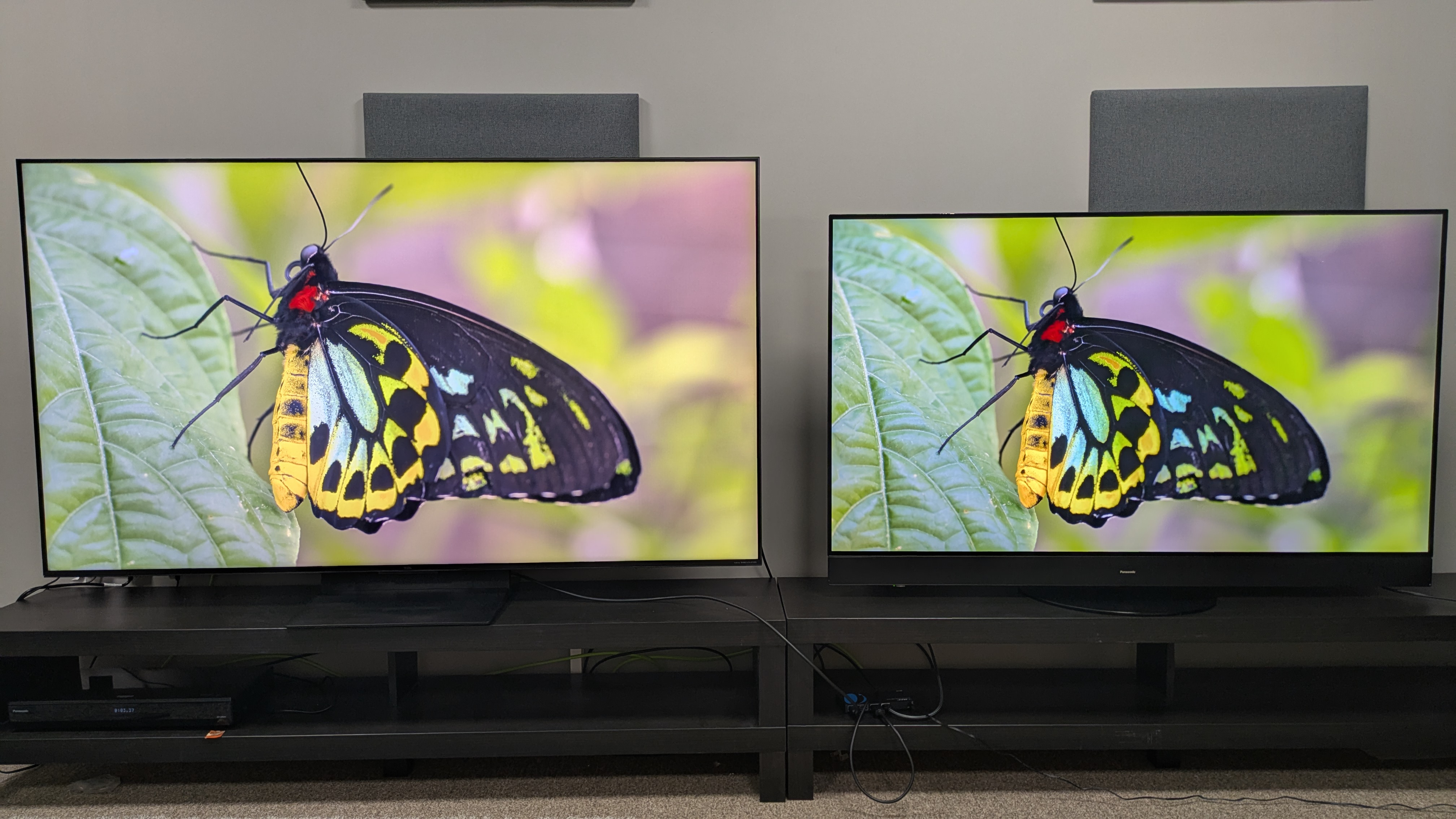 TCL C7K mini-LED left and Panasonic MZ1500 OLED right displaying a butterfly on screen