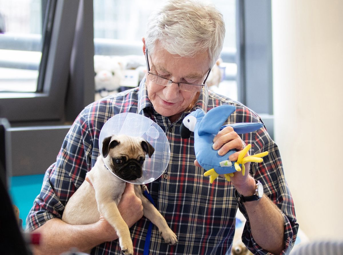 Paul with pancake Paul O’Grady: For the Love of Dogs