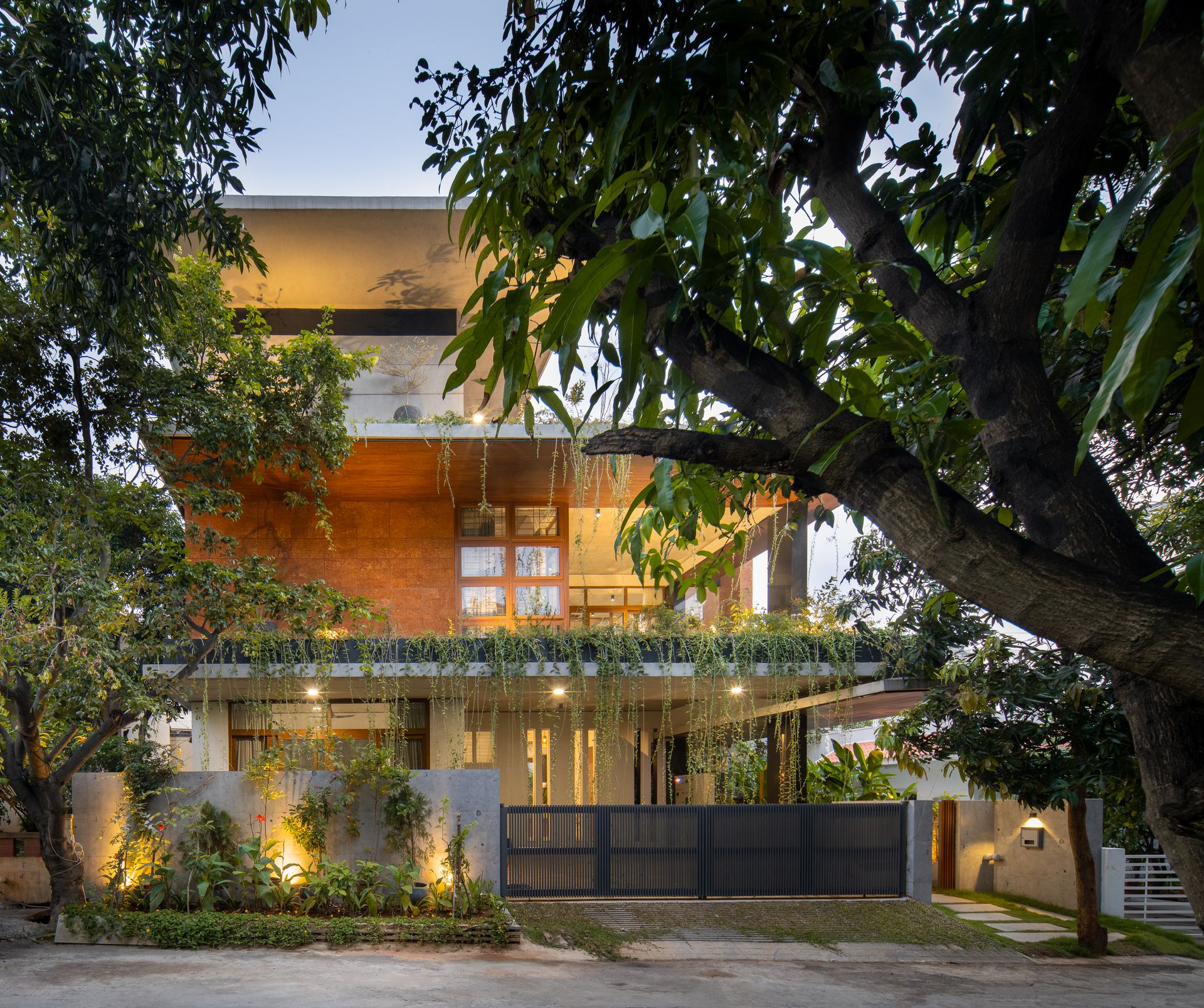 House covered in greenery