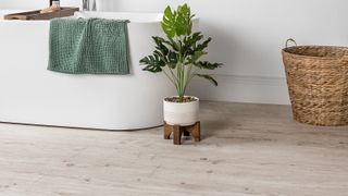 light wood-effect laminate flooring in bathroom with freestanding contemporary bath and plant pot in foreground