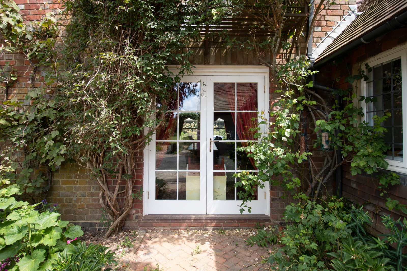 clean windows: white wooden pane windows