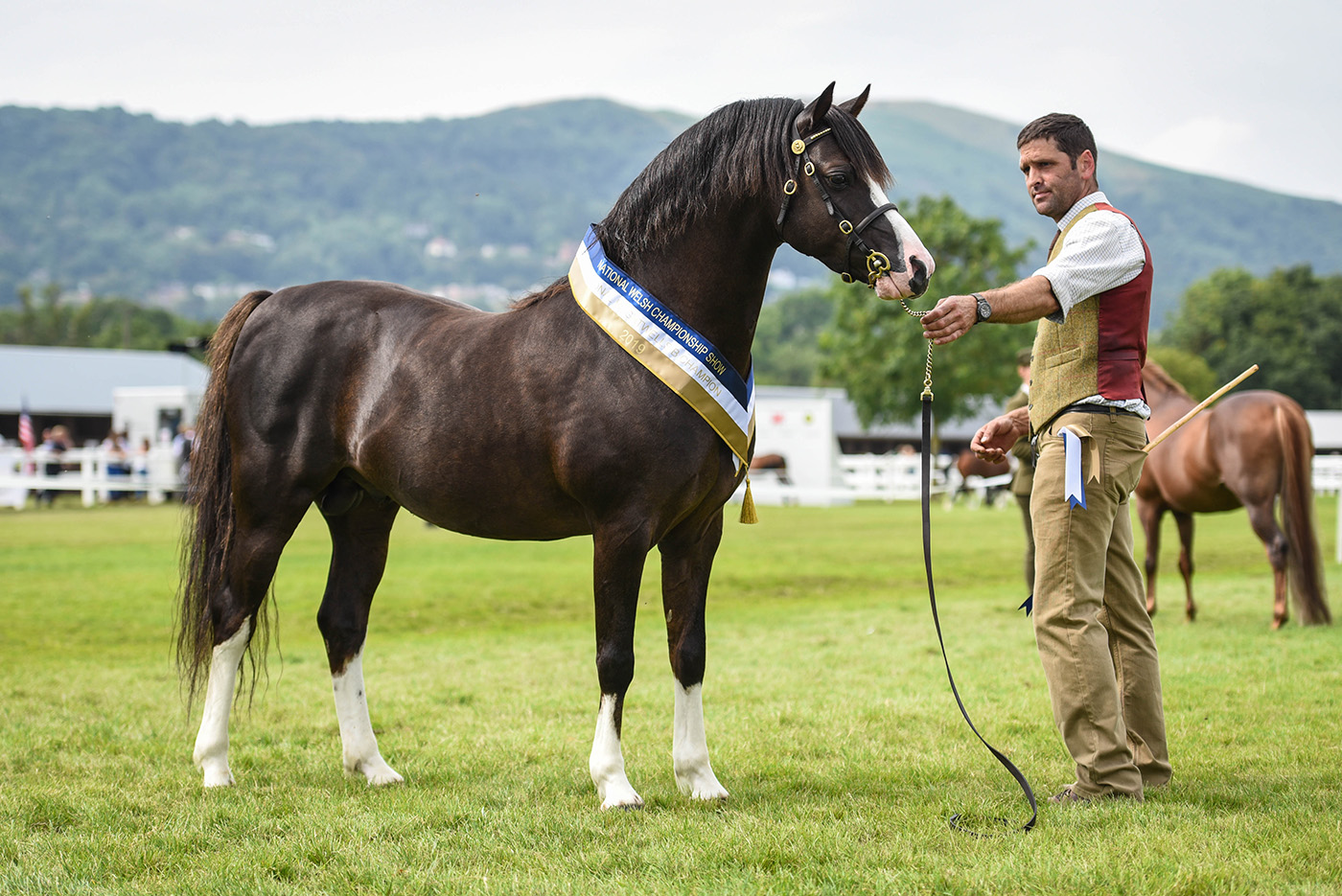 National Welsh Show 2019