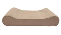cat sofa