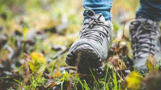 Best rated walking sales boots