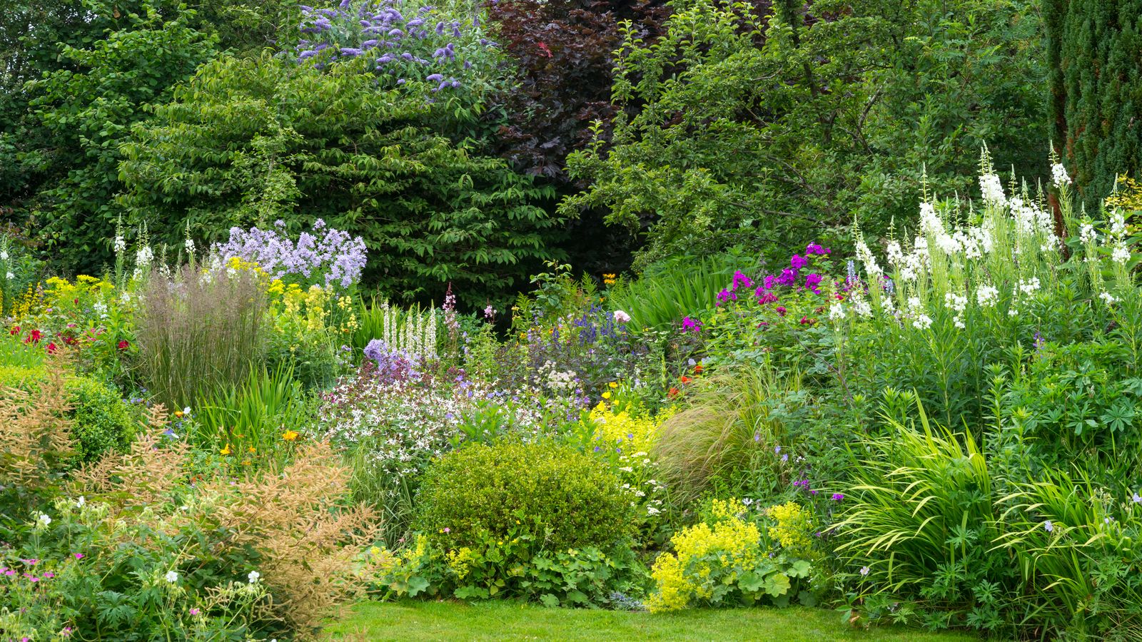 Monty Don's top tips for supporting plants | Homes & Gardens