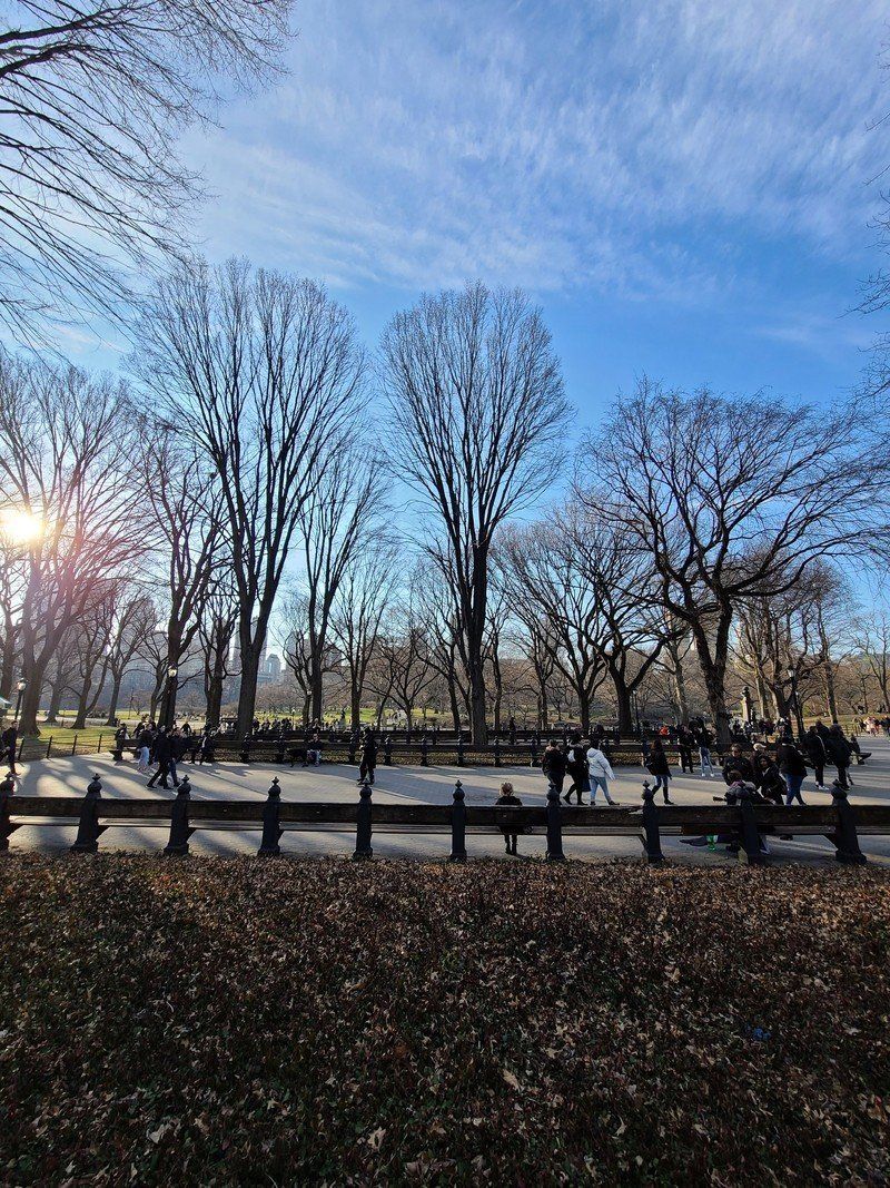 Galaxy S20 Ultra ultra-wide camera photo