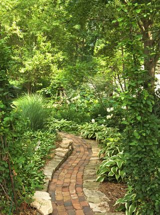 Brick pathway through shade garden with hosta